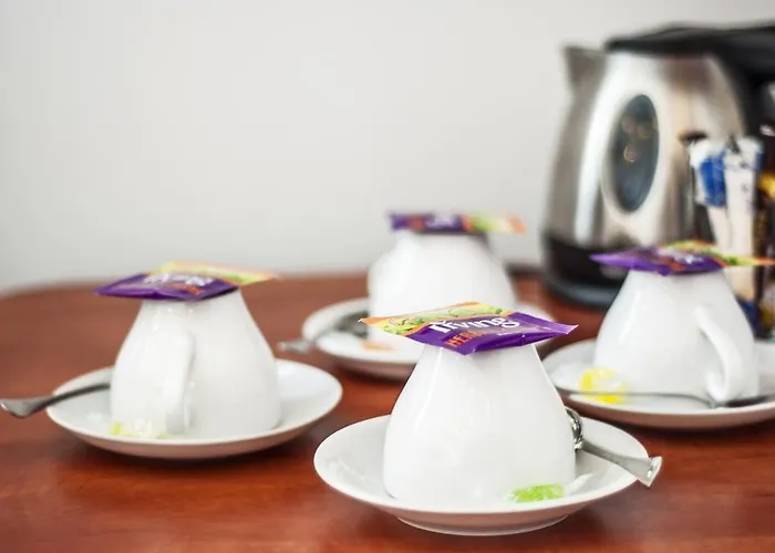 阿图尔酒店 酒店 3*